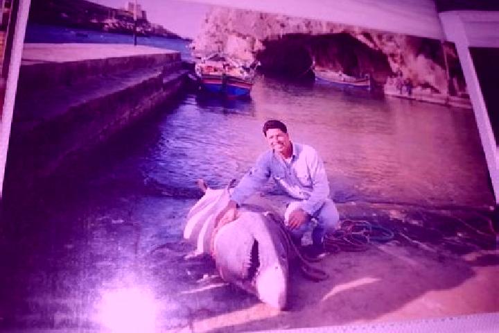 Sofia, 20 — Escort in Zurrieq, Malta