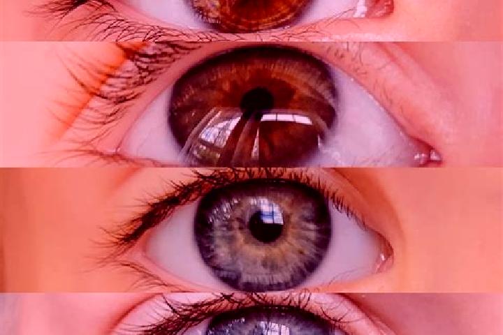 Sofia, 21, a chestnut green-eyed mixed companion based in Minante Segundo. Offering Domination, A-Level, Striptease, Massage, BDSM. Available for incall and ...