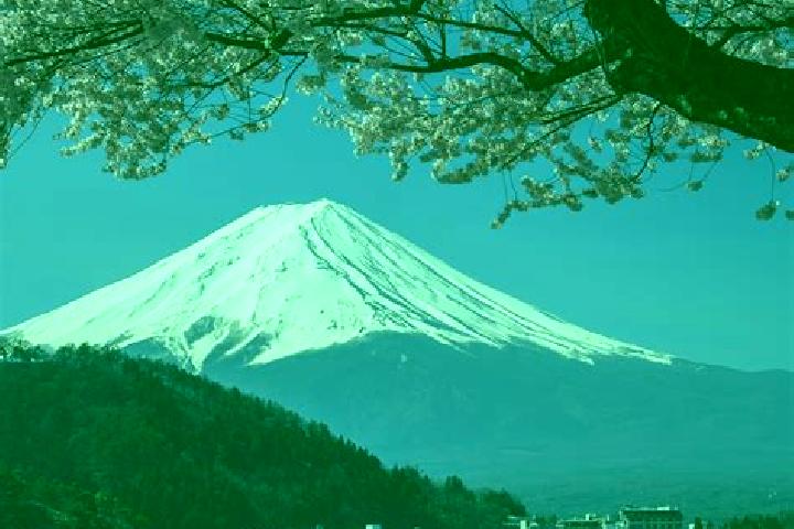 Sofia, 21 — Escort in Fuji-yoshida, Japan