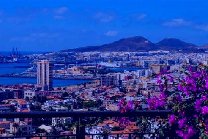 Sofia, 21 — Escort in Las Palmas de Gran Canaria, Spain