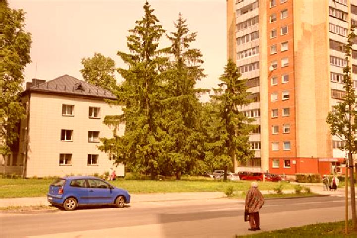 Sofia, 21 — Escort in Naujininkai, Lithuania