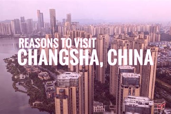 Sofia, 22 — Escort in Changshan, China