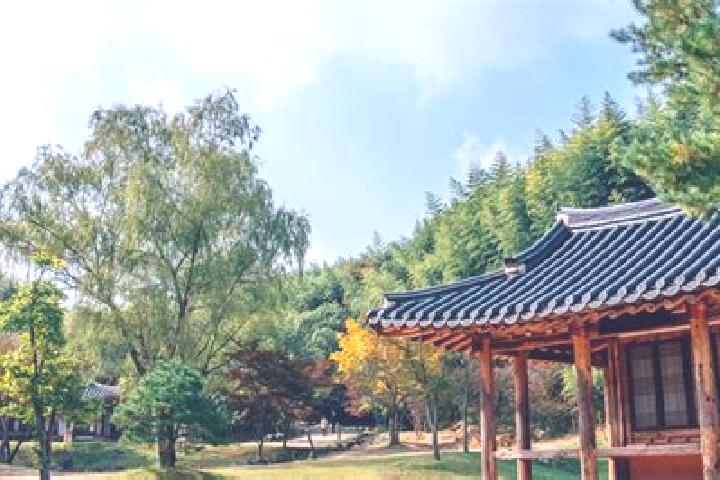 Sofia, 22 — Escort in Damyang, South Korea