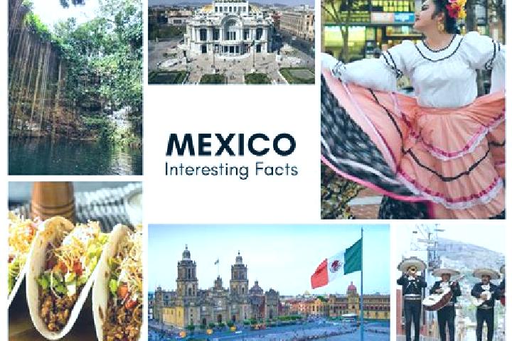 Sofia, 22 — Escort in San Pedro Yutniotic, Mexico
