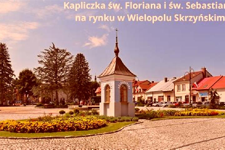Sofia, 22 — Escort in Wielopole Skrzynskie, Poland