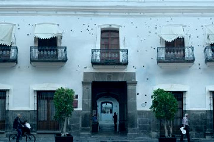 Sofia, 23 — Escort in Aquiles Serdan (La Hediondilla), Mexico