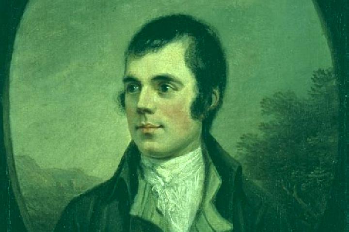 Sofia, 23 — Escort in Grasmere, Australia