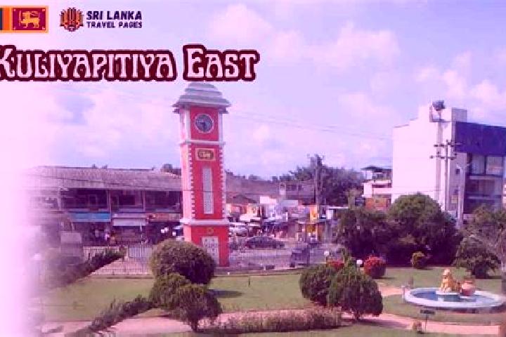 Sofia, 23 — Escort in Kuliyapitiya, Sri Lanka