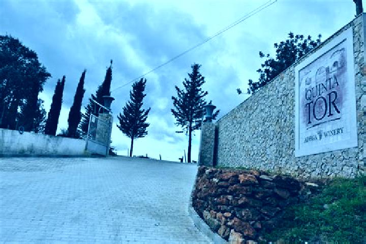 Sofia, 23 — Escort in Sao Marcos da Serra, Portugal