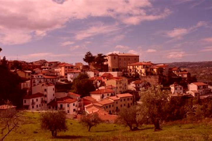 Sofia, 23 — Escort in Torella dei Lombardi, Italy