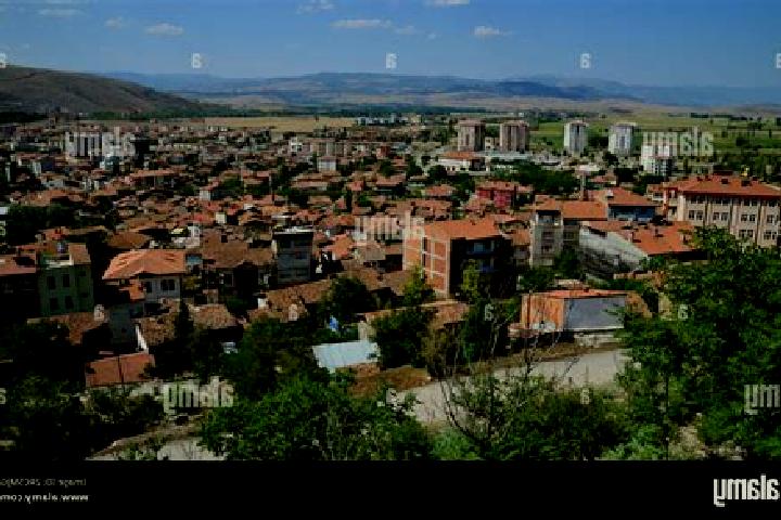 Sofia, 23 — Escort in Zile, Turkey