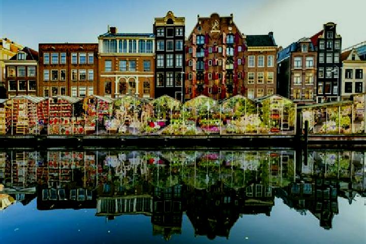 Sofia, 24 — Escort in Gracht, Netherlands