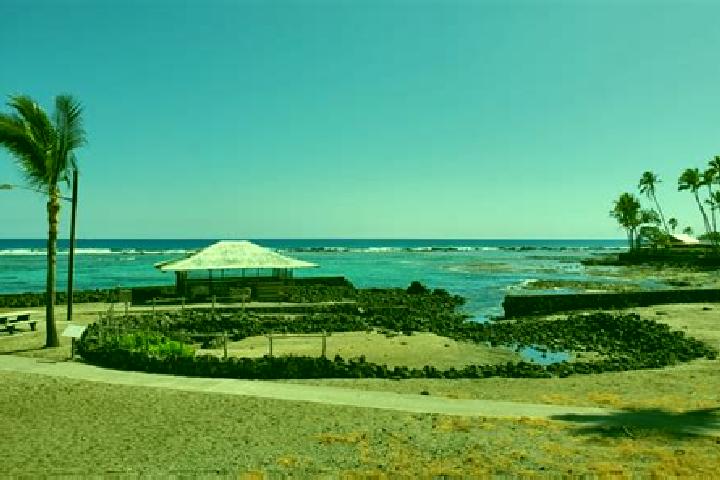 Sofia, 24 — Escort in Kahalu u, United States
