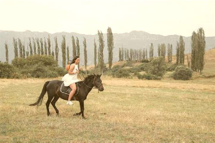 Sofia, 24 — Escort in Khachik, Armenia