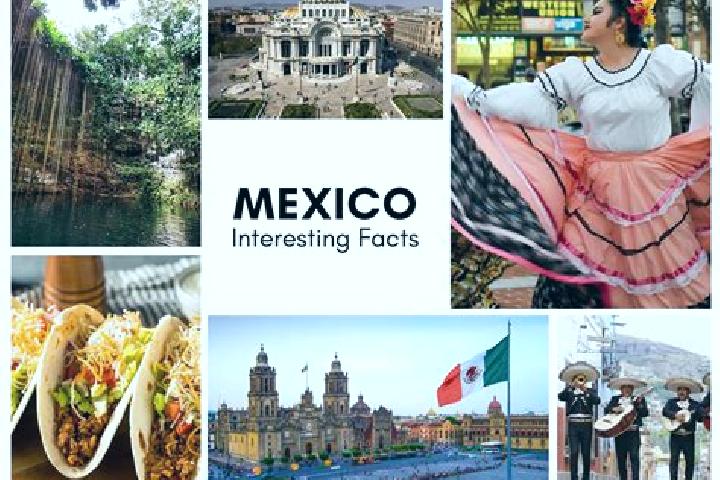 Sofia, 24 — Escort in Majoval, Mexico
