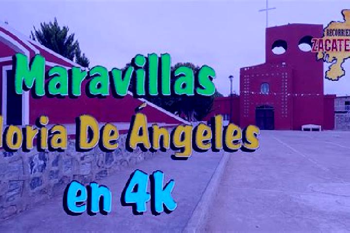 Sofia, 24 — Escort in Noria de Angeles, Mexico