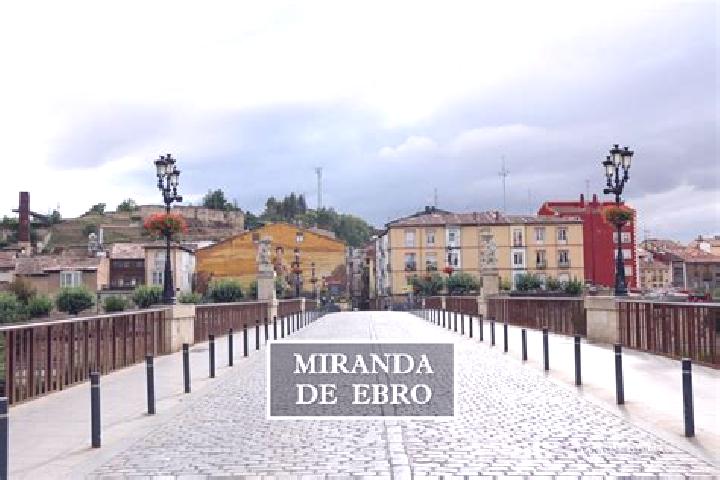 Sofia, 24 — Escort in Pina de Ebro, Spain
