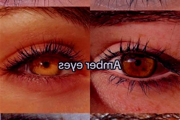 Sofia, 25, a brunette amber-eyed european companion based in El Tigre. Offering OWO, BDSM, Tantra. Available for incall and outcall, overnight bookings avail...