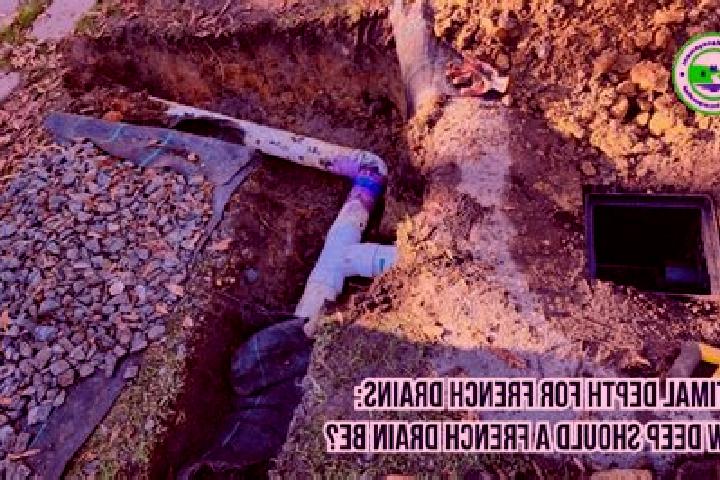 Sofia, 25 — Escort in Drain, France