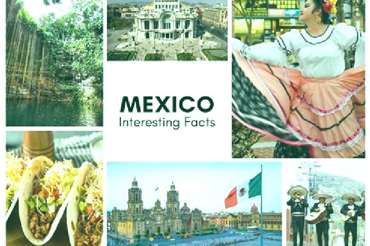Sofia, 25 — Escort in Ninguno, Mexico