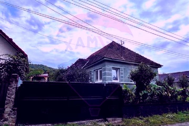 Sofia, 25 — Escort in Pestis, Romania
