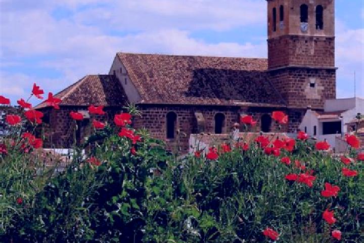 Sofia, 25 — Escort in Puebla de Don Fadrique, Spain