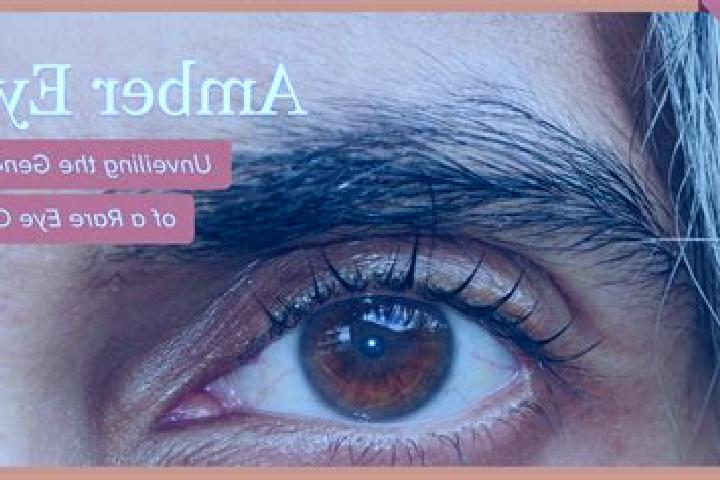 Sofia, 26, a black amber-eyed indian companion based in Prettin. Offering A-Level, Overnight, Dinner Date, GFE. Available for incall and outcall, overnight b...