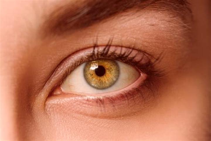 Sofia, 26, a chestnut hazel-eyed mixed companion based in Mount Davis. Offering Couples, OWO, Tantra, CIM, GFE. Available for incall and outcall, overnight b...