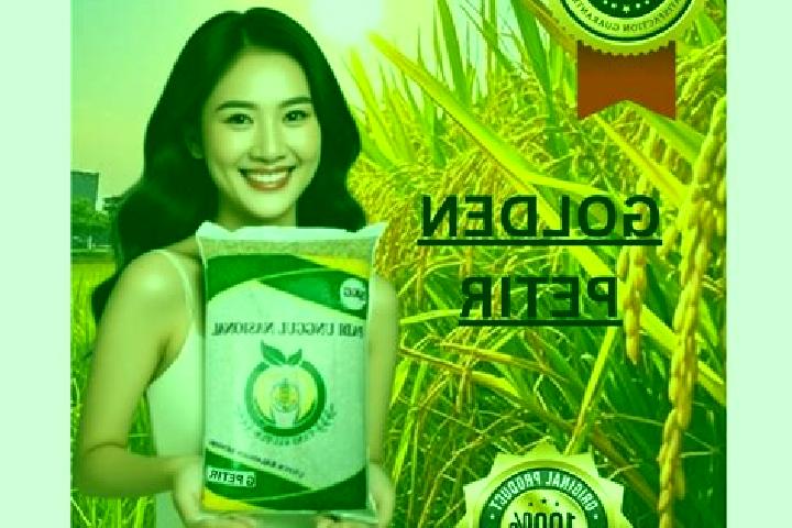 Sofia, 26 — Escort in Klutuk, Indonesia