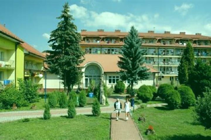 Sofia, 26 — Escort in Oblegorek, Poland