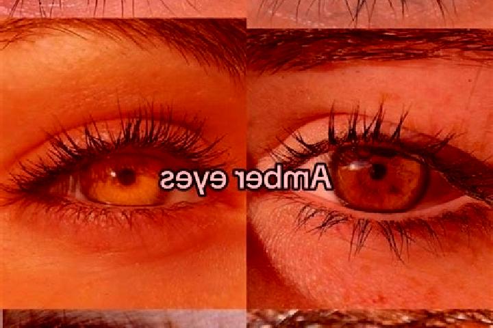 Sofia, 27, a brunette amber-eyed ebony companion based in Anstey. Offering Overnight, Girlfriend Experience, Deep French Kissing. Available for incall and ou...