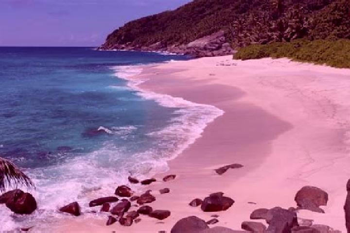 Sofia, 27 — Escort in Anse Boileau, Seychelles