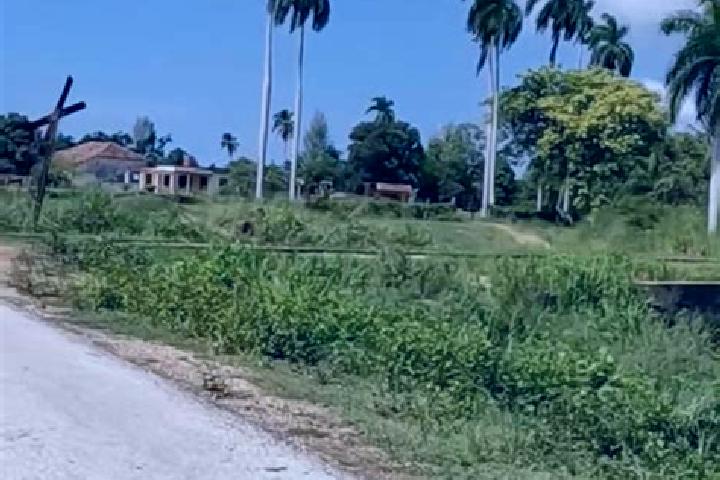 Sofia, 27 — Escort in Corralillo, Cuba