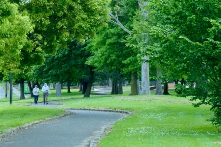 Sofia, 27 — Escort in Croydon Park, Australia