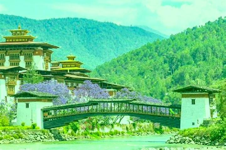 Sofia, 27 — Escort in Punakha, Bhutan