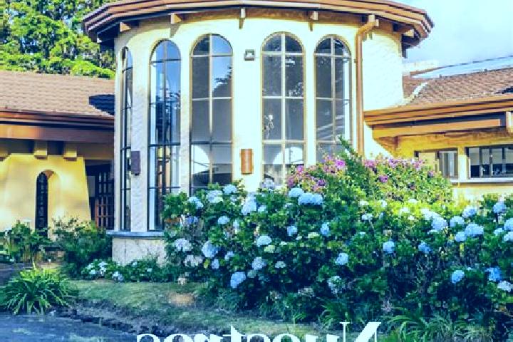 Sofia, 27 — Escort in San Rafael, Costa Rica
