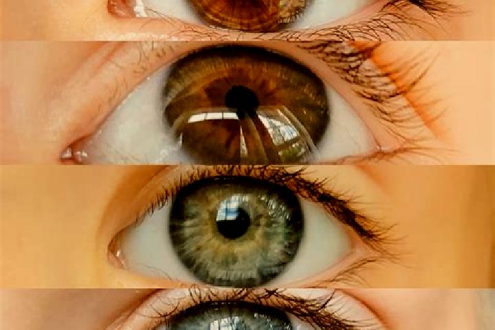 Sofia, 28, a chestnut dark-eyed middle eastern companion based in Serigne. Offering 69, Striptease, OWO. Available for incall and outcall, overnight bookings...