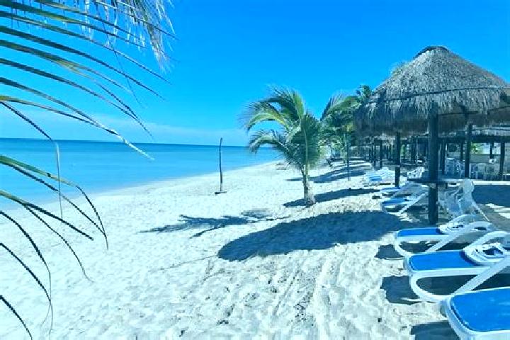 Sofia, 28 — Escort in Bahia Tortugas, Mexico