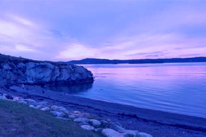 Sofia, 28 — Escort in Campobello Island, Canada