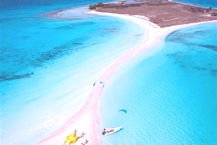 Sofia, 28 — Escort in Cayo de Agua, Panama