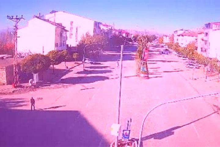 Sofia, 28 — Escort in Nurhak, Turkey