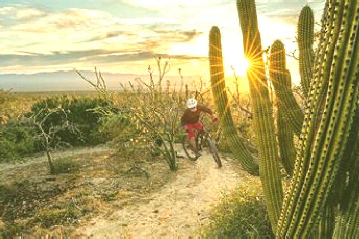Sofia, 28 — Escort in Rancho Cuachixolotera, Mexico