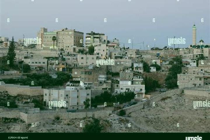 Sofia, 29 — Escort in Al Amud, Yemen