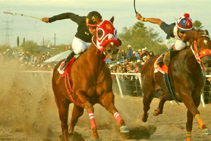 Sofia, 30 — Escort in Puerto General Nicolas Bravo (Filo de Caballos), Mexico