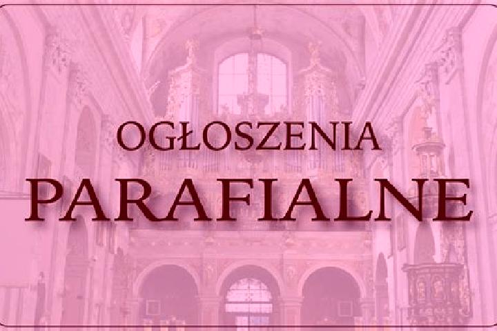 Sofia, 30 — Escort in Radgoszcz, Poland