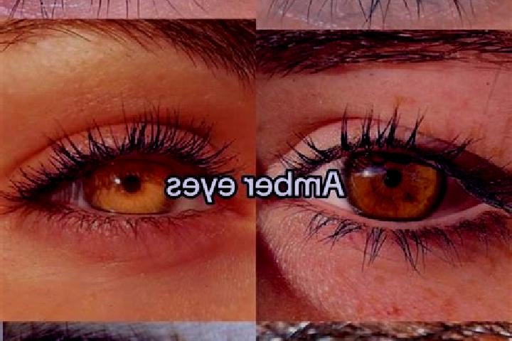 Sofia, 31, a brunette amber-eyed european companion based in Tecka. Offering GFE, Striptease, Couples, Tantra, Domination. Available for incall and outcall, ...