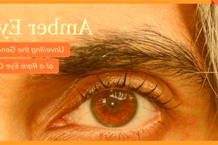Sofia, 31, a red amber-eyed caribbean companion based in Winkel. Offering 69, GFE, Prostate Massage. Available for incall and outcall, overnight bookings ava...