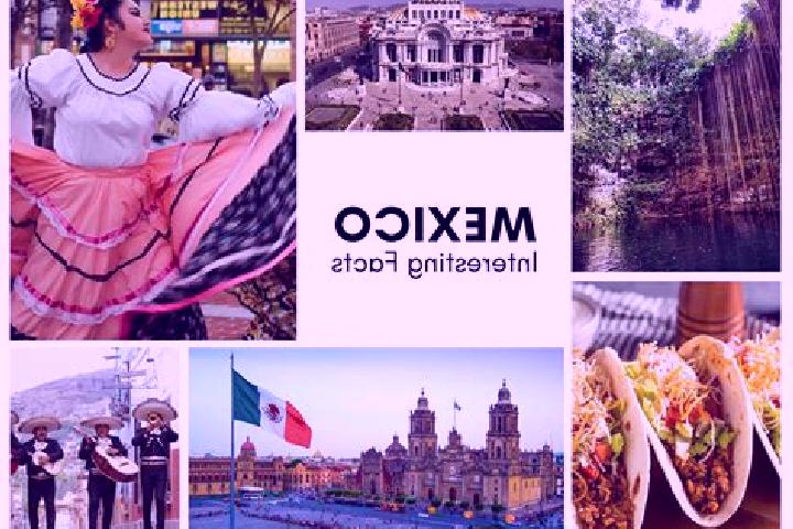 Sofia, 31 — Escort in Coaquentla, Mexico