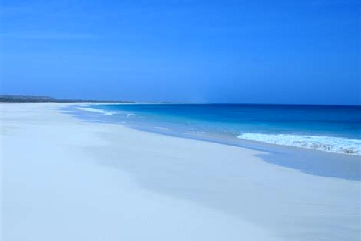 Sofia, 31 — Escort in Ponta da Achada, Cape Verde