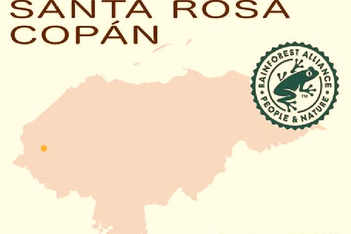 Sofia, 32 — Escort in La Rosa, Honduras
